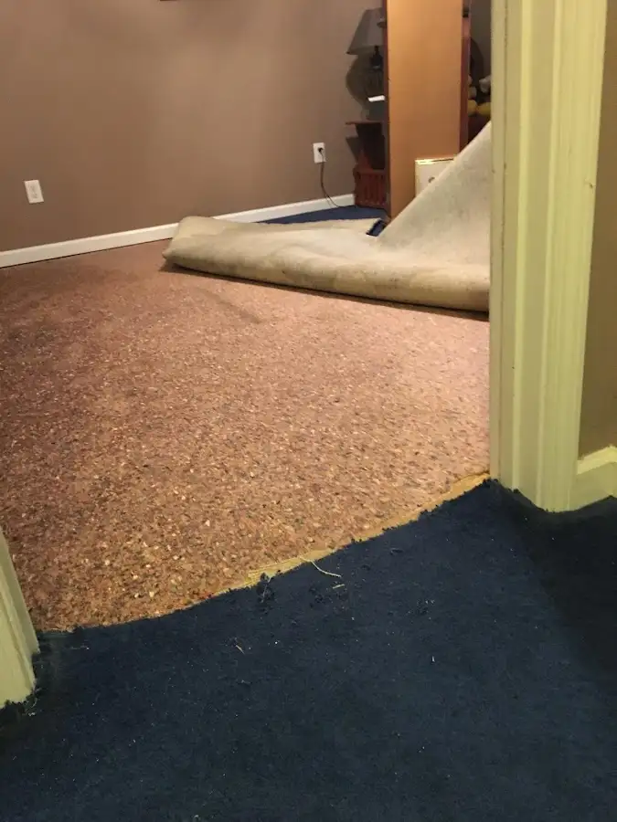 Carpet pad removal revealing water damage during Water Mitigation Services in Grosse Pointe Park