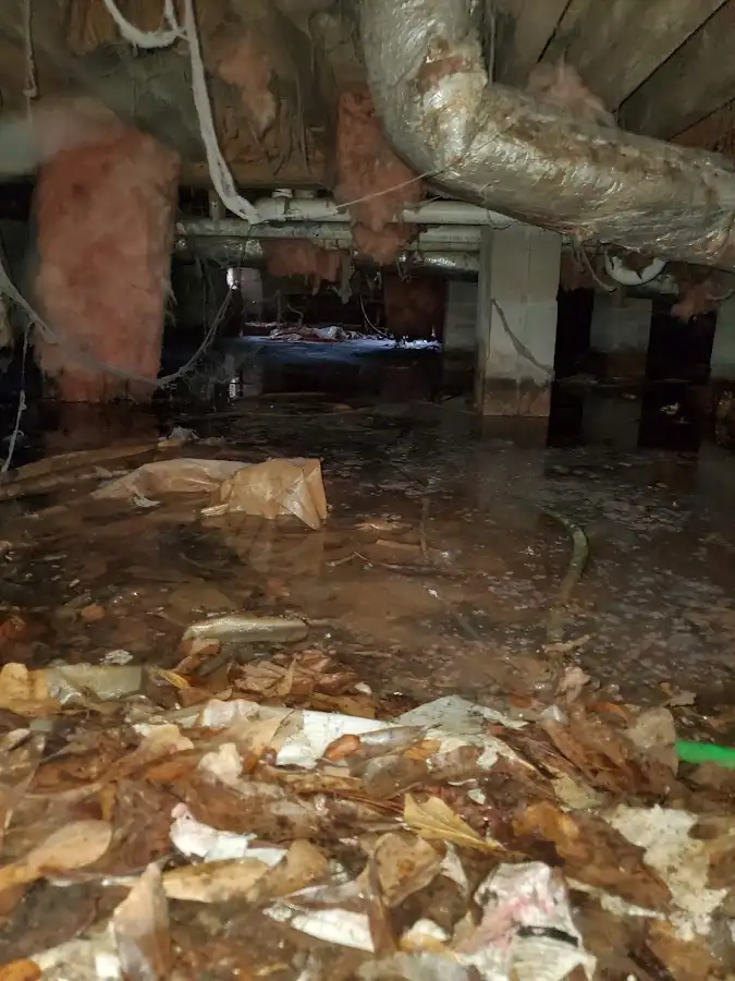 Crawl space flood assessment for Commercial Water Damage Restoration in Grosse Pointe Park
