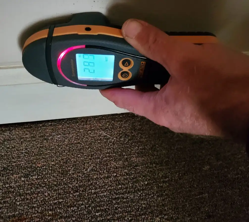 Moisture detection at baseboard during Mold Inspection & Testing in Grosse Pointe Park